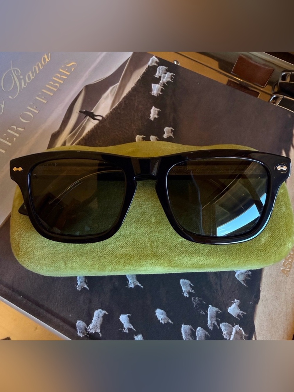 Tom Ford Glossy Black Sunglasses